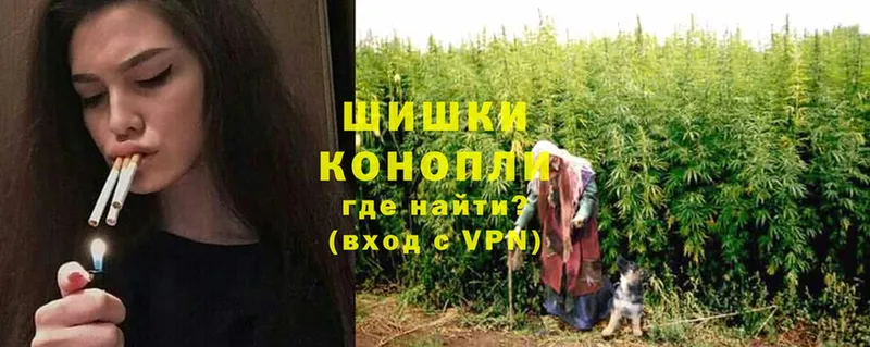 Конопля THC 21%  наркотики  Зеленогорск 